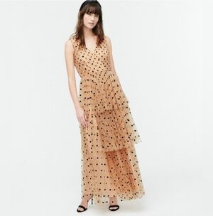 J. Crew Tiered Tulle Polka Dot Maxi Dress